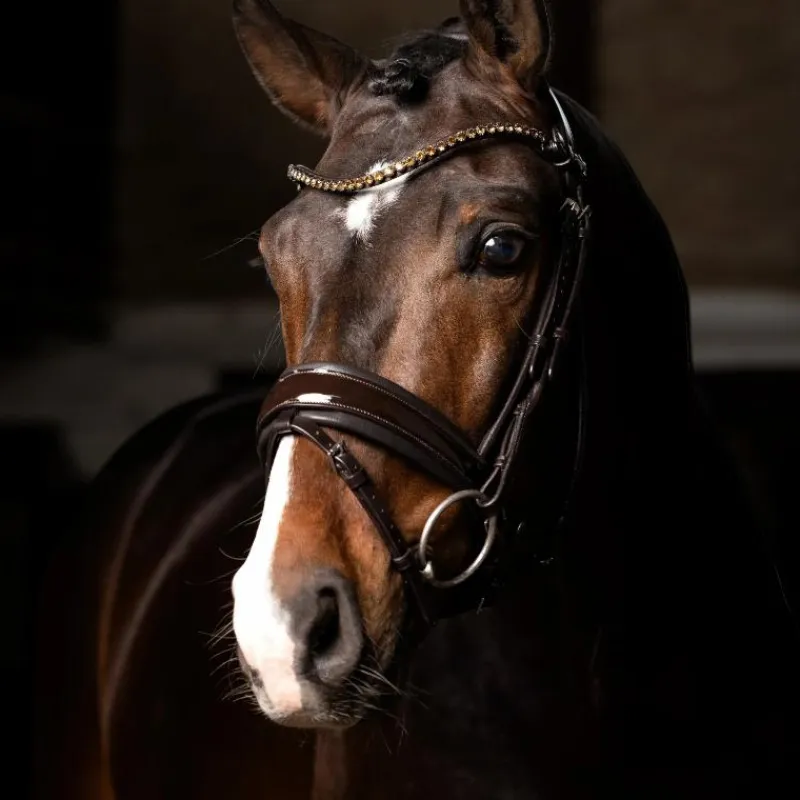 Outlet - Bridon de dressage Kudos Patent Bridons Poneys|Bridons