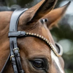 Outlet - Bridon de dressage Kudos Patent Bridons Poneys|Bridons