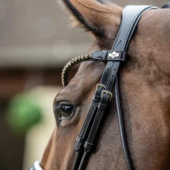 Outlet - Bridon de dressage Kudos Patent / blanc Bridons Poneys|Bridons