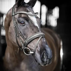 Clearance - Bridon de dressage Arika / argent Bridons Poneys|Bridons