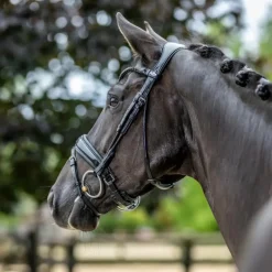 Bridons Poneys|Bridons*LeMieux - Bridon de dressage Kudos Patent Noir