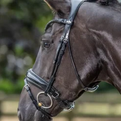 Bridons Poneys|Bridons*LeMieux - Bridon de dressage Kudos Patent Noir