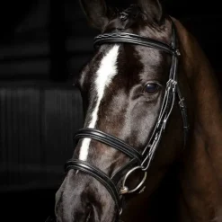 Bridons*LeMieux - Bridon double muserolle Kudos / argent Noir