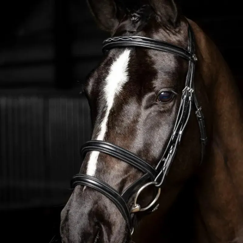 Bridons*LeMieux - Bridon double muserolle Kudos / argent Noir