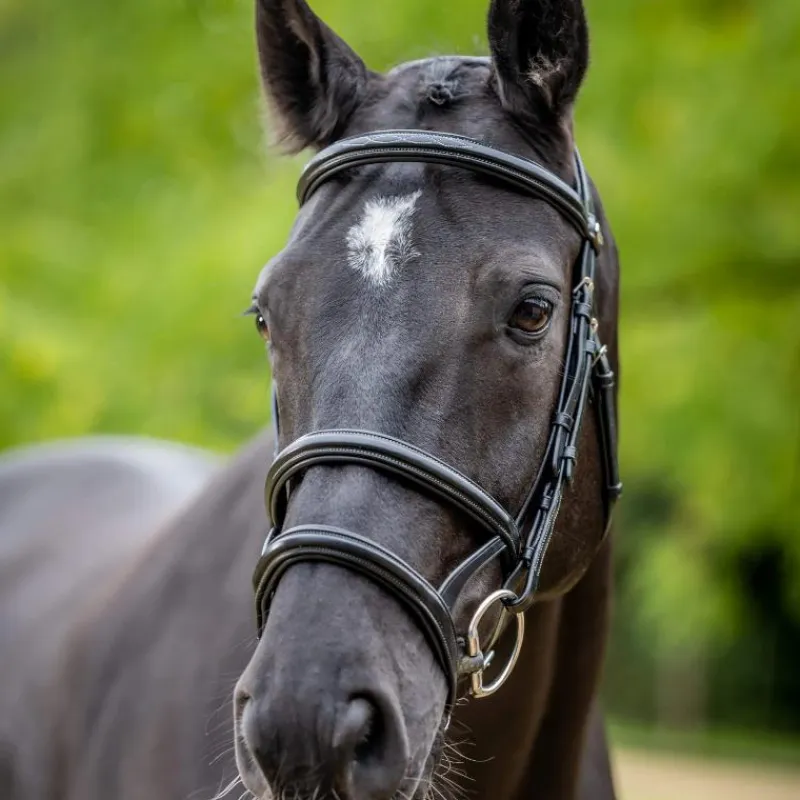 Bridons*LeMieux - Bridon double muserolle Kudos / argent Noir