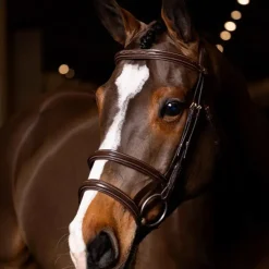 Best - Bridon double muserolle Kudos havane/ laiton Bridons