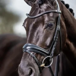 Bridons Poneys|Bridons*LeMieux - Bridon Kudos Classic Dressage Noir