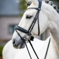 Bridons Poneys|Bridons*LeMieux - Bridon Kudos Classic Dressage Noir
