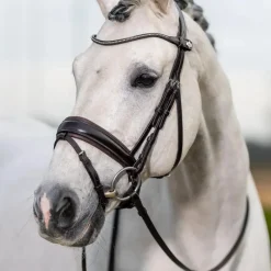 - Bridon Kudos Classic Dressage Bridons Poneys|Bridons