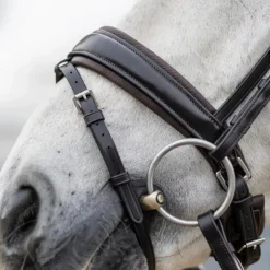 - Bridon Kudos Classic Dressage Bridons Poneys|Bridons