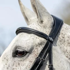 Bridons Poneys|Bridons*LeMieux - Bridon Kudos Competition Flash Noir