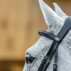 - Bridon Kudos Grackle muserolle croisée Bridons Poneys|Bridons