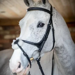 - Bridon Kudos Grackle muserolle croisée Bridons Poneys|Bridons