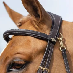 Bridons Poneys|Bridons*LeMieux - Bridon Kudos Work Marron