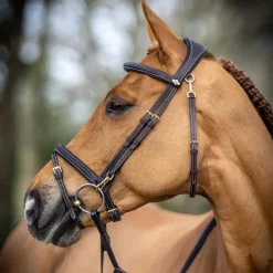 Bridons Poneys|Bridons*LeMieux - Bridon Kudos Work Marron