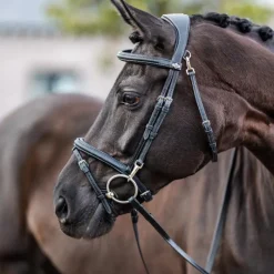 Discount - Bridon Kudos Work Bridons Poneys|Bridons