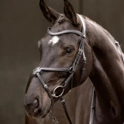 Bridons Poneys|Bridons*LeMieux - Bridon muserolle croisée Arika / argent Noir