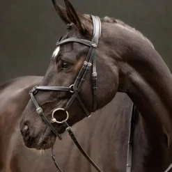 Bridons Poneys|Bridons*LeMieux - Bridon muserolle croisée Arika / argent Noir