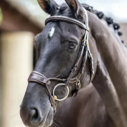 Bridons Poneys|Bridons*LeMieux - Bridon muserolle anatomique Kudos havane Marron