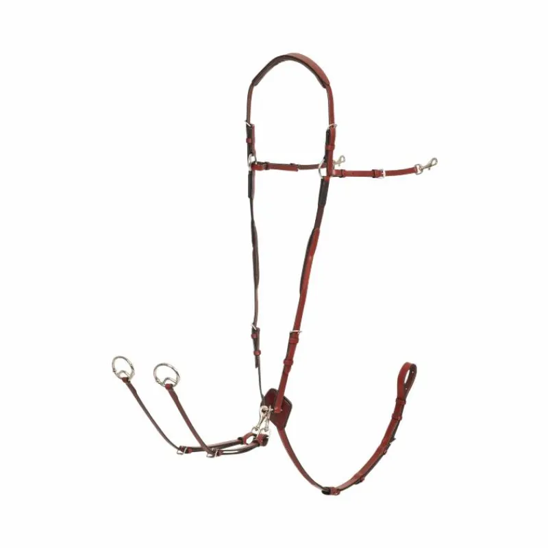 New - Collier de chasse D-Ring chesnut/ argent Colliers De Chasse Poneys|Colliers De Chasse