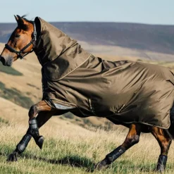 New - Couverture imperméable d’extérieur Arika ripstop Alpine 0g Couvertures Poneys|Couvertures Et Chemises