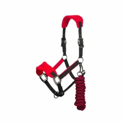 Best - Ensemble licol + longe Vogue noir/ Ensembles Licols Et Longes