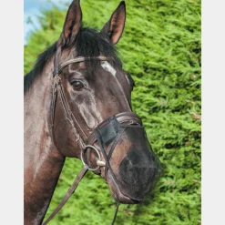 Hot - Filet protège naseaux Protections Pour Naseaux|Accessoires De Bridon