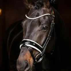 Outlet - Frontal Ice Crystal Frontaux