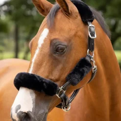 Accessoires De Licols*LeMieux - Kit fourreau de licol Simuwool Noir