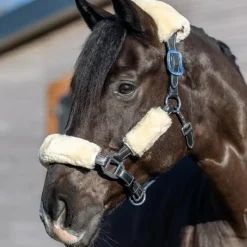 Accessoires De Licols*LeMieux - Kit fourreau de licol Simuwool naturel Beige