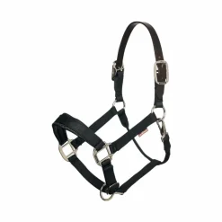 Discount - Licol Break Away Licols Poneys