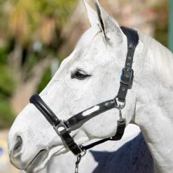 Online - Licol Capella Licols Poneys