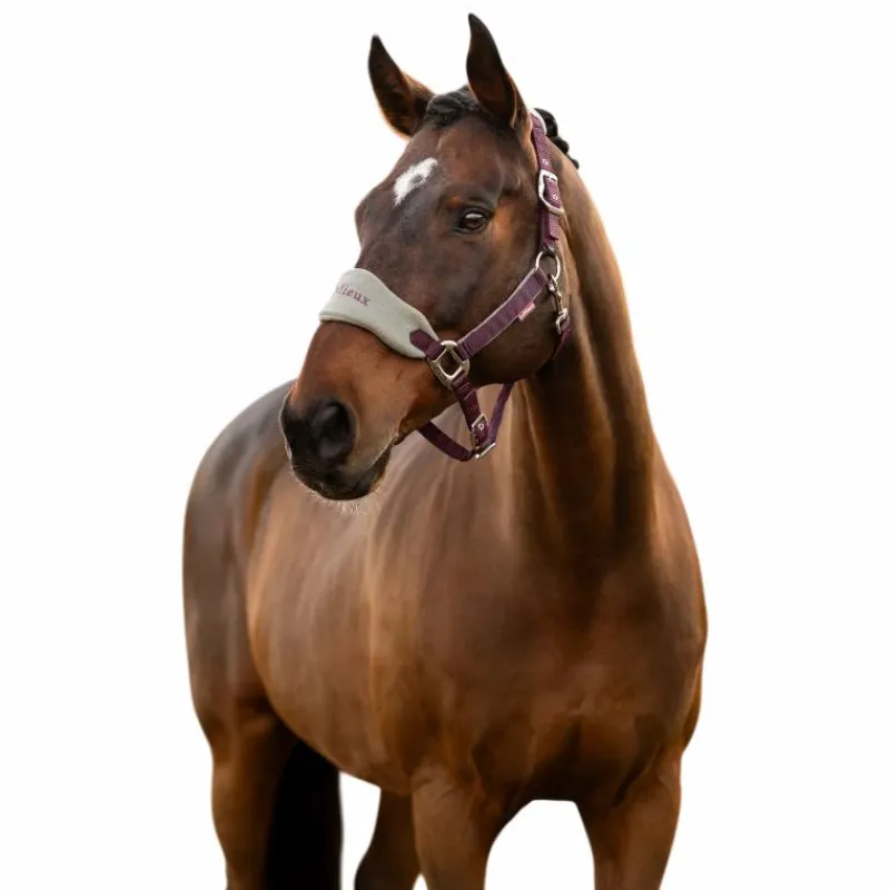 Online - Licol et longe Vogue damson Licols Poneys|Ensembles Licols Et Longes