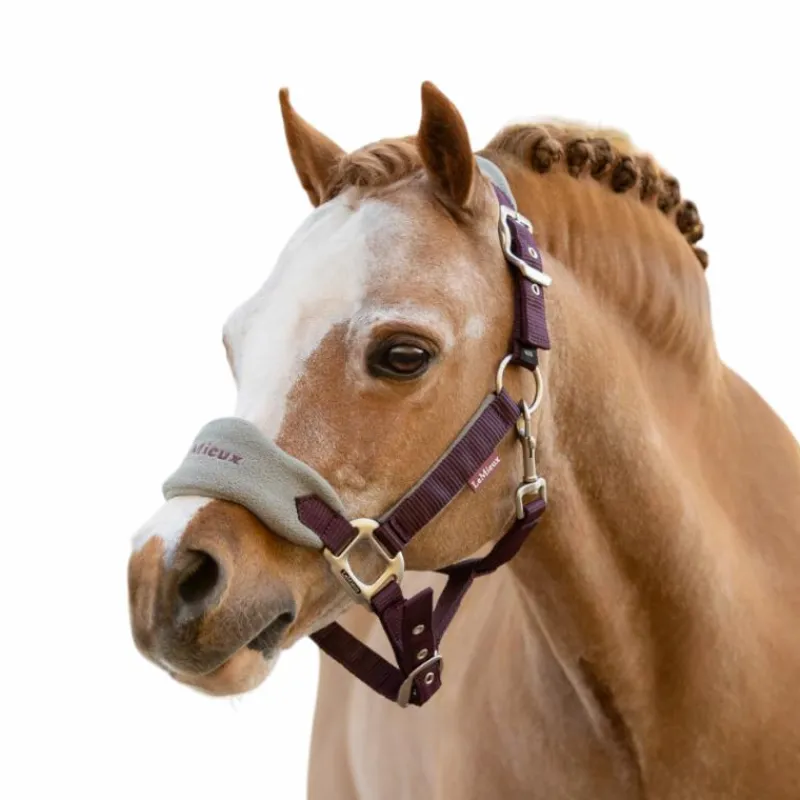 Online - Licol et longe Vogue damson Licols Poneys|Ensembles Licols Et Longes