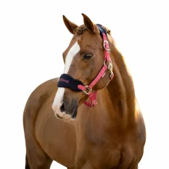 Sale - Licol et longe Vogue cranberry Licols Poneys|Ensembles Licols Et Longes