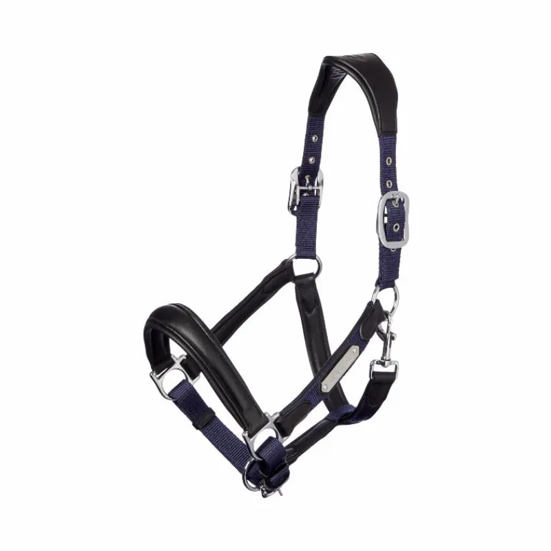 Licols Poneys*LeMieux - Licol pour chevaux Capella Marine