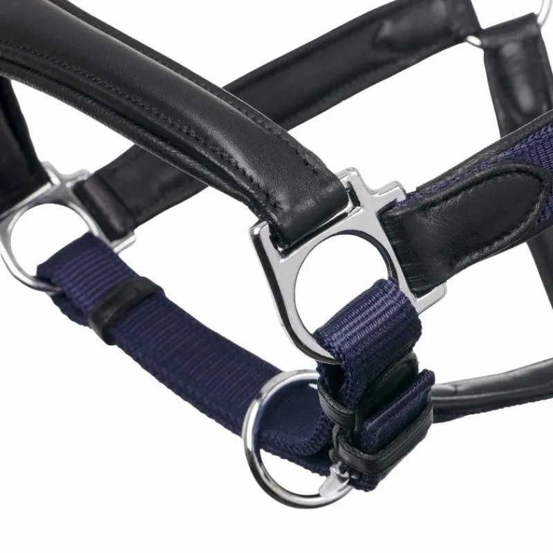 Licols Poneys*LeMieux - Licol pour chevaux Capella Marine