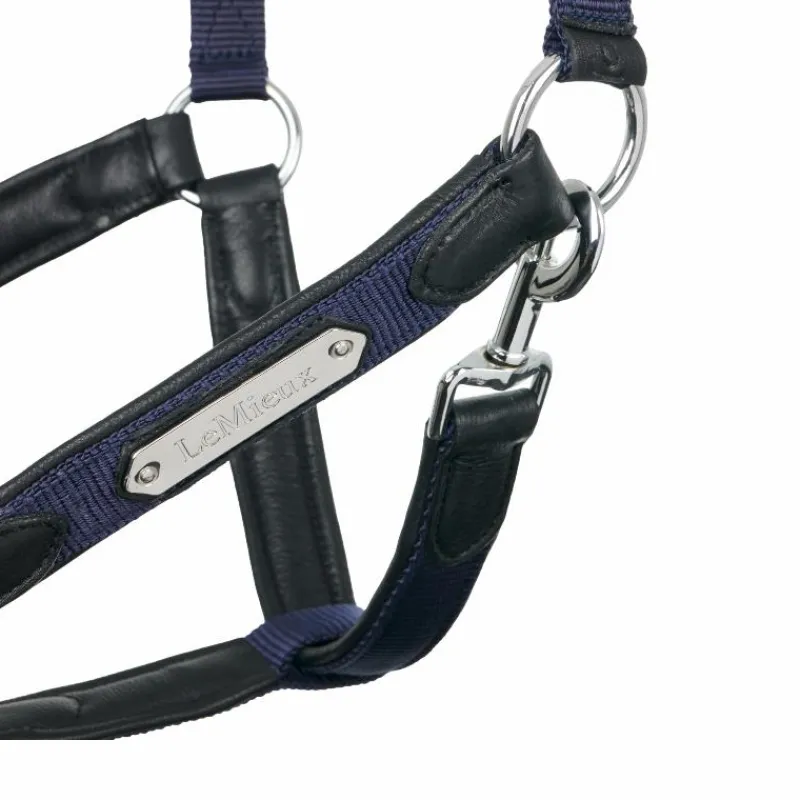Licols Poneys*LeMieux - Licol pour chevaux Capella Marine