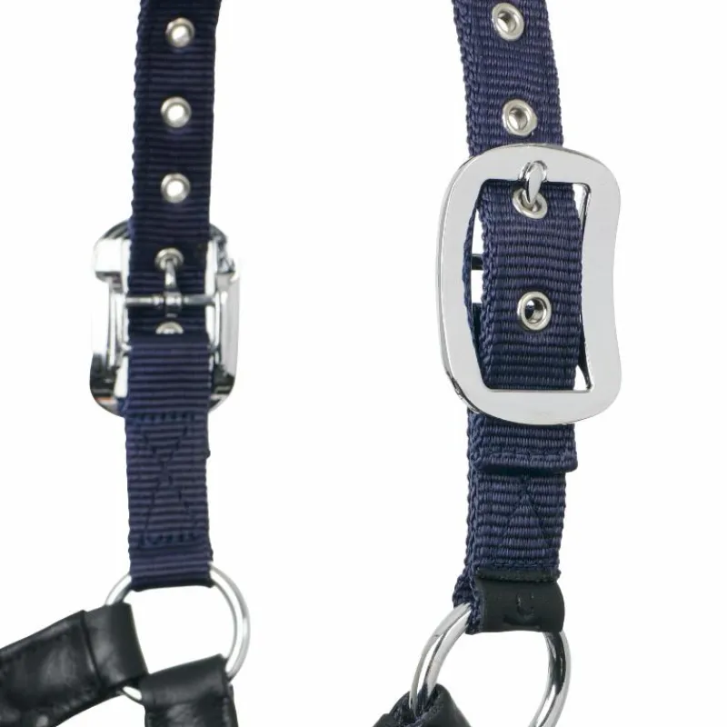 Licols Poneys*LeMieux - Licol pour chevaux Capella Marine