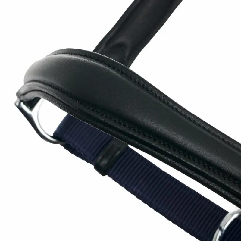 Licols Poneys*LeMieux - Licol pour chevaux Capella Marine