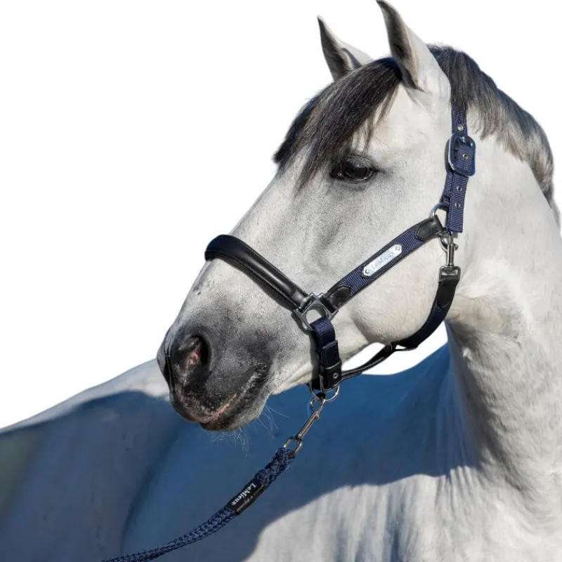 Licols Poneys*LeMieux - Licol pour chevaux Capella Marine