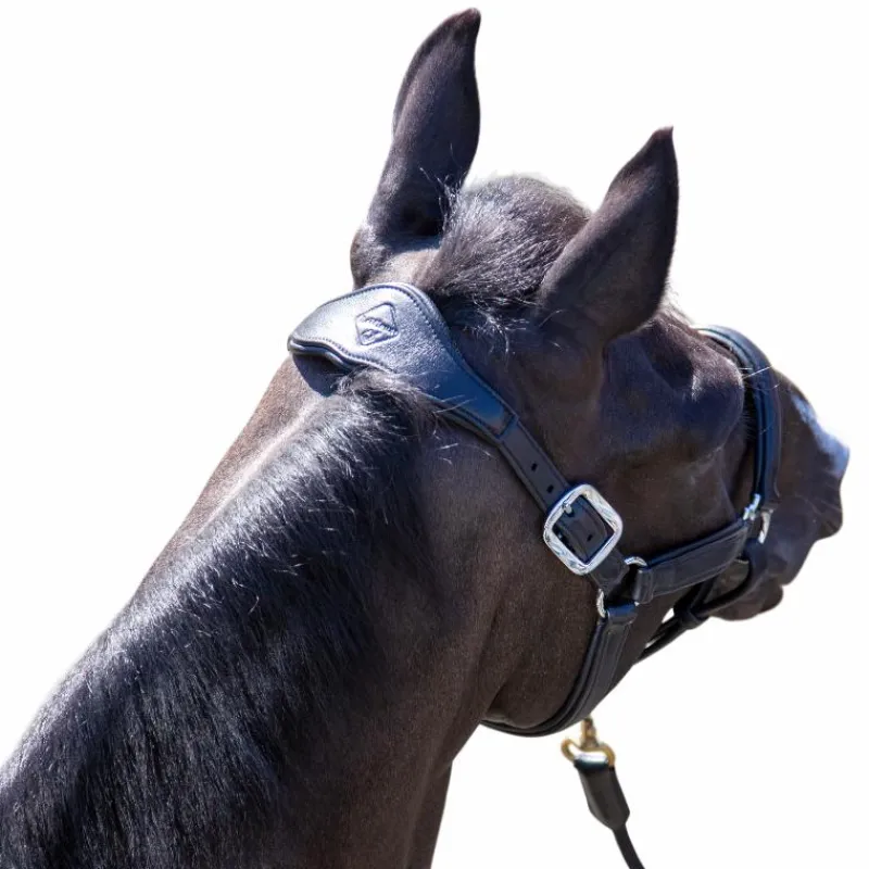 Licols Poneys*LeMieux - Licol pour chevaux Capella Marine