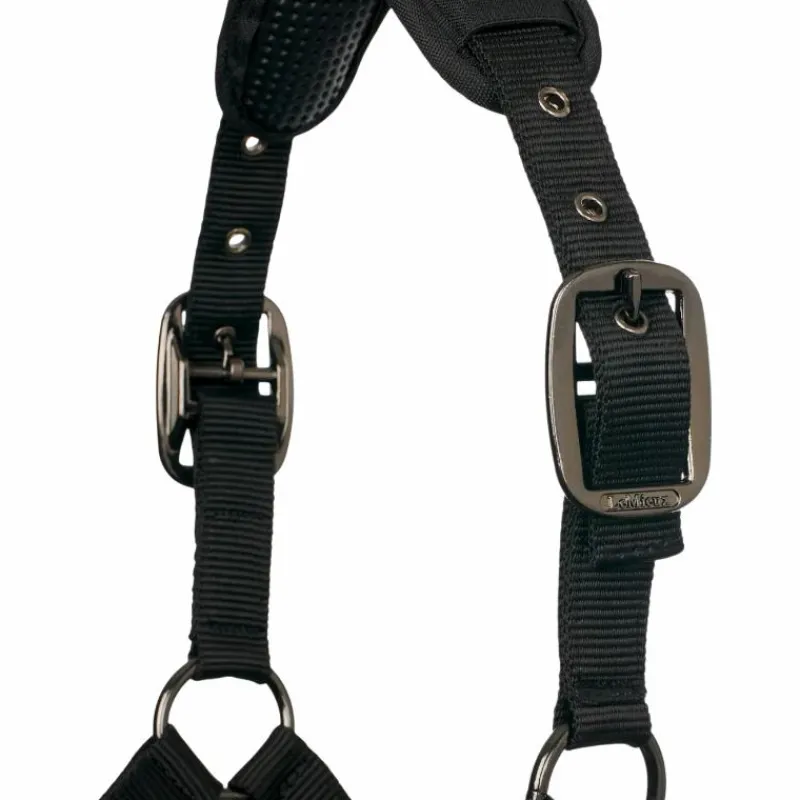Licols Poneys*LeMieux - Licol pour chevaux ProSafe Noir