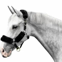 - Licol pour chevaux Comfort Licols Poneys