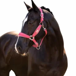 Sale - Licol pour chevaux Versailles cranberry Licols Poneys