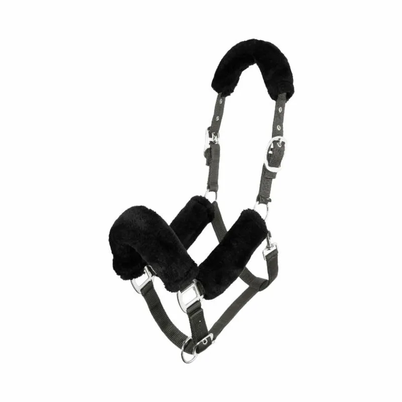 Clearance - Licol pour chevaux Comfort Licols Poneys