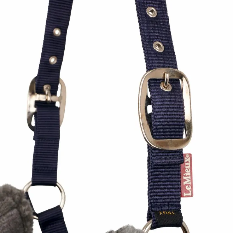 Hot - Licol pour chevaux Comfort Licols Poneys