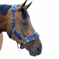 Hot - Licol pour chevaux Comfort Licols Poneys
