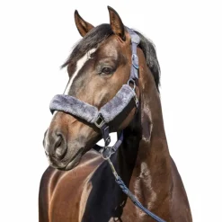 Hot - Licol pour chevaux Comfort Licols Poneys