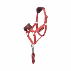 Outlet - Longe et licol Vogue pour Hobby Horse cranberry Hobby Horse
